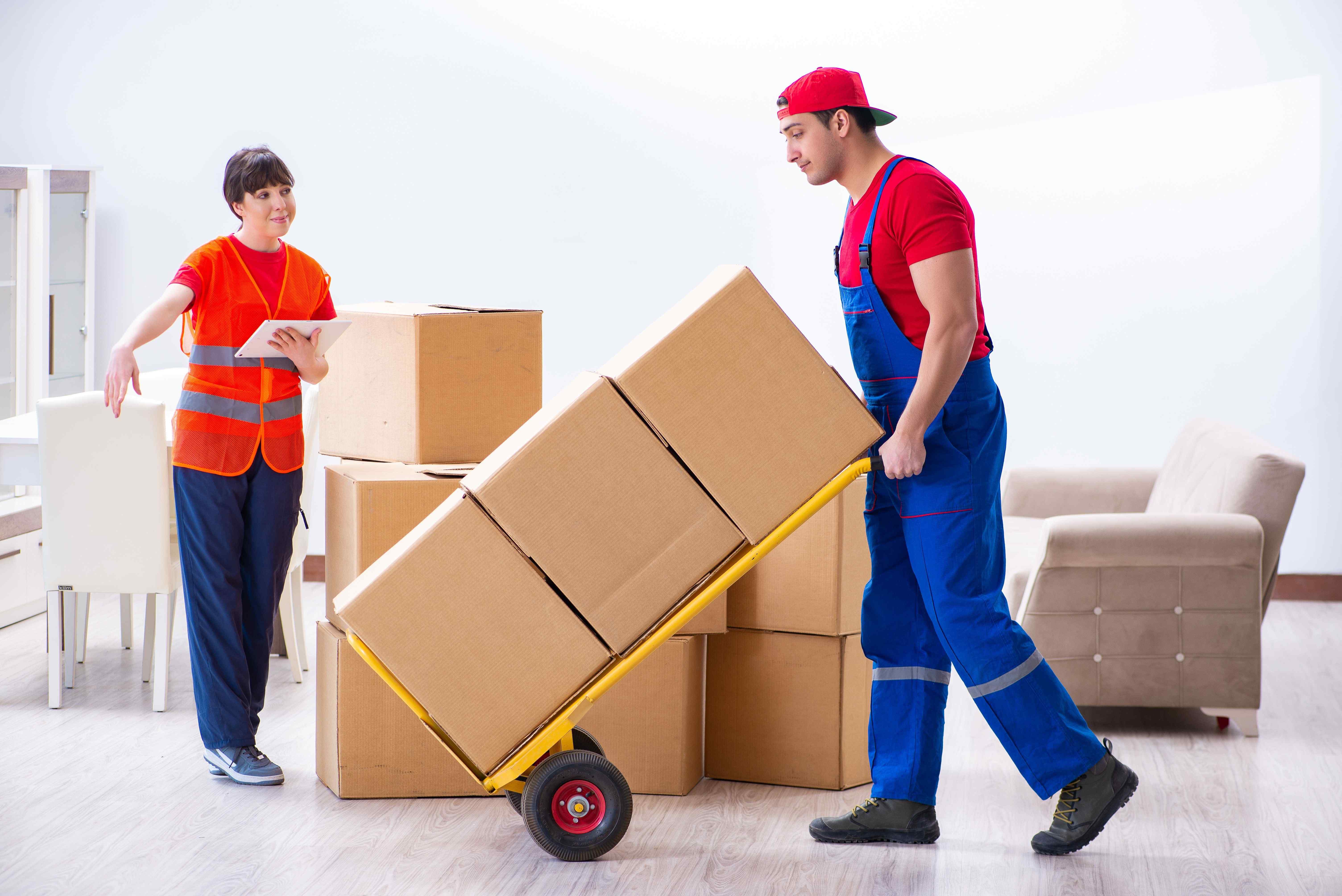 Professional packers and movers handling relocation services - Seetha Packers & Movers Hyderabad